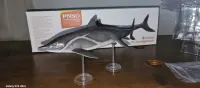 PNSO Guanlingsaurus — ujęcie 2
