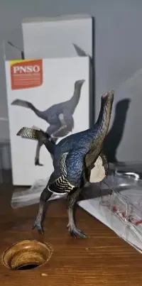 PNSO  Junlang the Caudipteryx — ujęcie 3