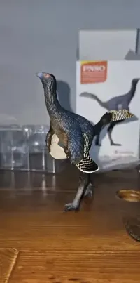 PNSO  Junlang the Caudipteryx — ujęcie 2