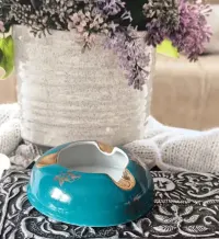 Popielniczka Ćmielów piękna stara porcelana — ujęcie 4