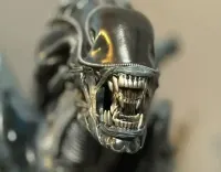 Prime 1 Studio Alien Warrior 1/3 Predator nie Sideshow — ujęcie 2