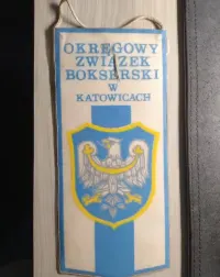 Proporczyk i wpinka  Górnik Sosnowiec Czarne diamenty '81 boks — ujęcie 3