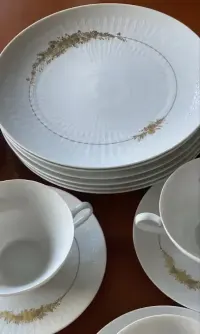 Rosenthal  serwis obiadowy . — ujęcie 2