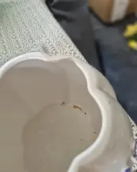 Różności ceramiczne cena za całość — ujęcie 2