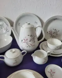 Serwis Obiadowo- kawowy Rosenthal Gejsza. — ujęcie 2