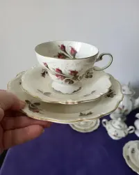 Serwis Rosenthal Pompadour Moosrose. — ujęcie 2