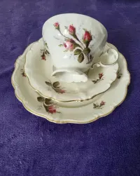 Serwis Rosenthal Pompadour Moosrose. — ujęcie 4