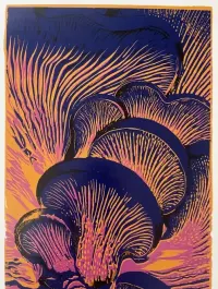 Sitodruk, serigrafia grafika grzyby — ujęcie 2