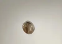 Sprzedam minerał Rutiladet quartz — ujęcie 3