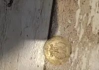 Sprzedam monetę kolekcjonerską — ujęcie 2