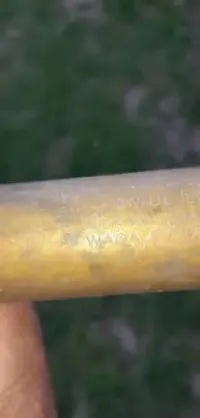 Stary opryskiwacz ręczny sygnowany — ujęcie 4