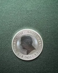Stebrna moneta kangur — ujęcie 2