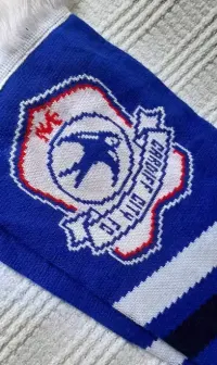 Szalik Cardiff City — ujęcie 4