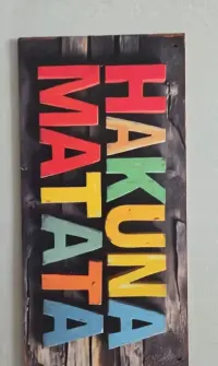Tabliczka 20x10cm Hakuna Matata — ujęcie 3