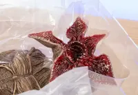 ThreeZero Stranger Things Demogorgon skala 1/6 figurka kolekcjonerska — ujęcie 5