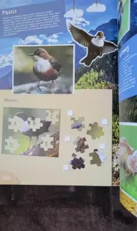 Unikat album z naklejkami "Twoja przygoda z polską przyrodą" Carrefour — ujęcie 5