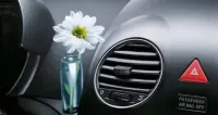 Wazonik New Beetle — ujęcie 5