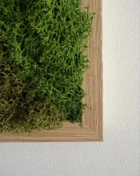 Obraz z mchu w drewnianej dębowej ramie 50x50 cm — ujęcie 2