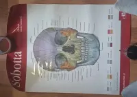 plakat medyczny anatomia Sobotta — ujęcie 3