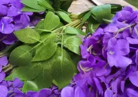 Wisteria glicynia sztuczna girlanda kwiatowa dekoracja 12 sztuk — ujęcie 2