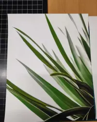 Zestaw 2 plakatów 40x50 komplet zieleń liście OUTLET — ujęcie 3
