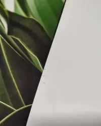 Zestaw 2 plakatów 40x50 komplet zieleń liście OUTLET — ujęcie 4