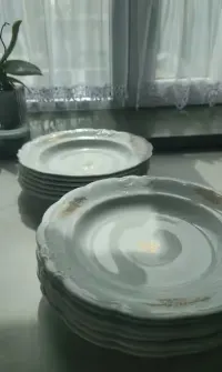12 porcelanowych głębokich  talerzy Fabryka Porcelany Wałbrzych — ujęcie 2