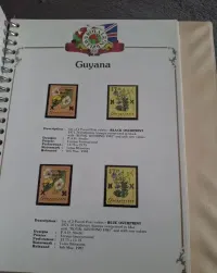 Album ze znaczkami, redukcja kolekcji wlasnej — ujęcie 5