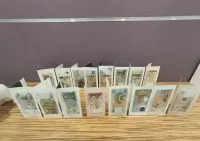 Cała kolekcja banknotów kolekcjonerskich NBP 17 sztuk stan menniczy — ujęcie 3