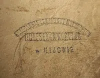 Czarne Dyamenty powieść Maurycego Jokay'a Warszawa 1879 tom 1 i 2 — ujęcie 2