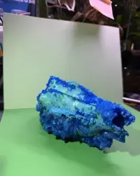 Czaszka jelenia zkrystalizowana niebieskie kryształy minetały art natural deco naturalne kryształy ozdoba na biurko prezent UNIKAT — ujęcie 2