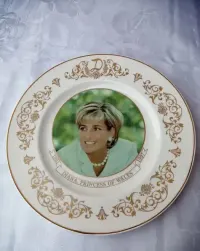 Diana princessa talerz kolekcjonerski — ujęcie 2