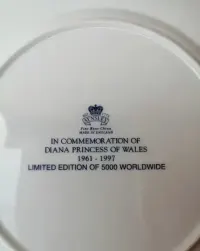 Diana princessa talerz kolekcjonerski — ujęcie 5