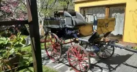 Dorożka zaprzężona konna — ujęcie 4