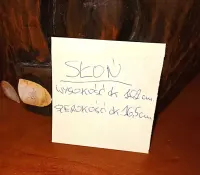 Drewniana rzeźba    KOT 40,5 cm.    i     SŁOŃ 102cm. — ujęcie 5