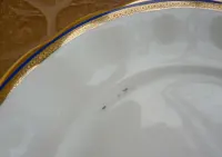 duża patera 31,5 cm dekorowana złoceniami - Karolina - PRL - 60/70-te — ujęcie 4