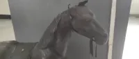 Dwa konie ze skóry  figura — ujęcie 2