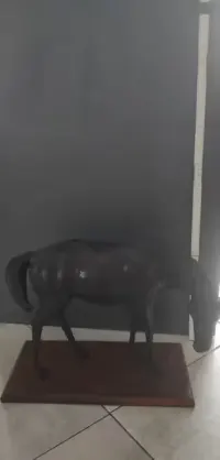 Dwa konie ze skóry  figura — ujęcie 5