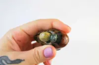 figurka ceramiczka kaczki dzika ręcznie malowana vintage retro lata 70 — ujęcie 3