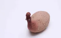 Figurka ceramiczna z południowej Afryki- Ptak Perliczka, — ujęcie 2