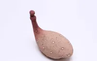 Figurka ceramiczna z południowej Afryki- Ptak Perliczka, — ujęcie 3