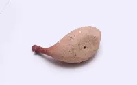 Figurka ceramiczna z południowej Afryki- Ptak Perliczka, — ujęcie 4