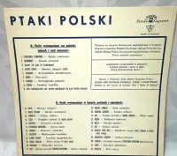 FILIPINKI i inne - stare okładki do płyt winylowych — ujęcie 3