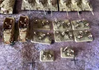 Flames of war - Fate of a Nation - Armia Egipska - gotowa do gry — ujęcie 2