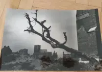 Fotografia artystyczna — ujęcie 3