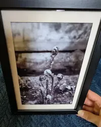 Fotografia czarno-biała w ramce. — ujęcie 2
