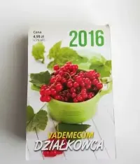 Kalendarz 2016 zrywak, zdzierak / Wszystkie kartki / Okazja/ TANIO — ujęcie 5