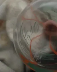 Karafka szklana PRL — ujęcie 5