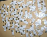 kolekcja monet; 2 zł okolicznościowe, 5 zł okolicznościowe, merki, zagraniczne — ujęcie 4