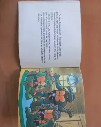 Kolekcja Turtles Ostatnia lekcja Teenage Mutant Hero — ujęcie 4